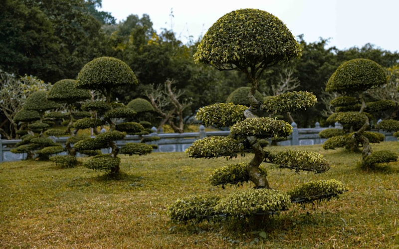 Garten- und Landschaftsbau